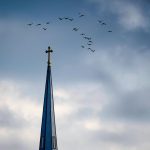 pexels-am83-13039009